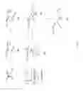Fig. 03 - Aztreonam derivatives and uses thereof