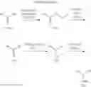 Fig. 06 - COMPOUNDS