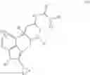 Fig. 06 - Polycyclic compounds and uses thereof