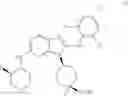 Fig. 47 - Processes for the preparation of cis-4-[2-{[(3S,4R)-3-fluorooxan-4-yl]amino}-8-(2,4,6-trichloroanilino)-9H-purin-9-yl]-1-methylcyclohexane-1-carboxamide
