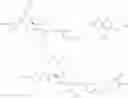 Fig. 147 - Cephem Compounds with Latent Reactive Groups