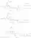 Fig. 164 - Cephem Compounds with Latent Reactive Groups