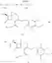 Fig. 58 - Cephem Compounds with Latent Reactive Groups