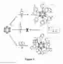 Fig. 04 - POLYARYLATION OF POLYHEDRAL BORANES