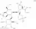 Fig. 19 - METHOD FOR PREPARING 2'-O-FUCOSYLLACTOSE