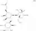 Fig. 22 - METHOD FOR PREPARING 2'-O-FUCOSYLLACTOSE