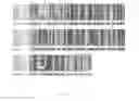 Fig. 05 - ALK4:ActRIIB heteromultimers and uses thereof