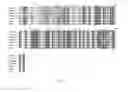 Fig. 08 - ALK4:ActRIIB heteromultimers and uses thereof