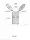 Fig. 09 - ALK4:ActRIIB heteromultimers and uses thereof