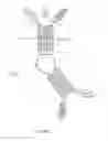 Fig. 11 - ALK4:ActRIIB heteromultimers and uses thereof