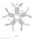 Fig. 12 - ALK4:ActRIIB heteromultimers and uses thereof