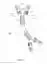 Fig. 15 - ALK4:ActRIIB heteromultimers and uses thereof