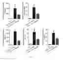 Fig. 28 - ALK4:ActRIIB heteromultimers and uses thereof