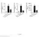 Fig. 29 - ALK4:ActRIIB heteromultimers and uses thereof