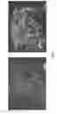 Fig. 02 - Anti-OX40 antibodies and methods of using the same