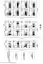 Fig. 06 - Anti-OX40 antibodies and methods of using the same