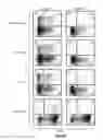 Fig. 12 - Anti-OX40 antibodies and methods of using the same