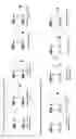 Fig. 12 - Nanobody dimers linked via C-terminally engineered cysteins