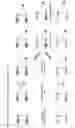 Fig. 13 - Nanobody dimers linked via C-terminally engineered cysteins