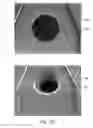 Fig. 33 - Automated nucleic acid assembly and introduction of nucleic acids into cells