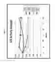 Fig. 07 - PHYTASE
