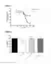 Fig. 07 - Neurodegenerative disorders