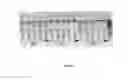 Fig. 04 - USE OF AN AQUEOUS COMPOSITION FOR DISSOLVING BIOMOLECULES FROM A TISSUE SAMPLE