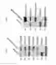 Fig. 03 - Methods and compositions for treating atherosclerosis