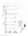 Fig. 22 - Methods and compositions for treating atherosclerosis