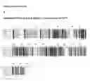 Fig. 46 - METHOD FOR INCREASING NITROGEN-USE EFFICIENCY IN PLANTS