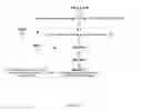 Fig. 02 - Tospovirus Resistant Plants and Methods Thereof