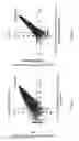 Fig. 08 - MASSIVELY PARALLEL COMBINATORIAL GENETICS FOR CRISPR