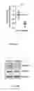 Fig. 44 - MASSIVELY PARALLEL COMBINATORIAL GENETICS FOR CRISPR