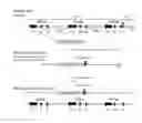 Fig. 01 - Non-human animals expressing humanized C1Q complex