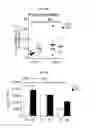 Fig. 22 - COMPOSITIONS AND METHODS FOR EVALUATING AND MODULATING IMMUNE RESPONSES BY USE OF IMMUNE CELL GENE SIGNATURES