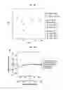 Fig. 28 - COMPOSITIONS AND METHODS FOR EVALUATING AND MODULATING IMMUNE RESPONSES BY USE OF IMMUNE CELL GENE SIGNATURES