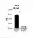 Fig. 43 - COMPOSITIONS AND METHODS FOR EVALUATING AND MODULATING IMMUNE RESPONSES BY USE OF IMMUNE CELL GENE SIGNATURES