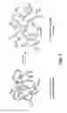 Fig. 02 - PHAGE-BASED DETECTION METHOD FOR ANTIMICROBIAL SUSCEPTIBILITY TESTING AND IDENTIFICATION OF BACTERIAL SPECIES