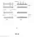 Fig. 06 - Dual selective deposition