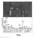 Fig. 07 - Coatings for enhancement of properties and performance of substrate articles and apparatus