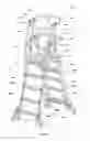 Fig. 02 - Elevated working platform and related methods