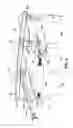 Fig. 06 - APPARATUS FOR CIRCUMFERENTIAL SEPARATION OF TURBINE BLADES