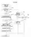 Fig. 23 - Exhaust purification system of internal combustion engine