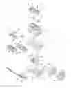 Fig. 01 - Snowmobile
