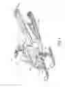 Fig. 02 - Snowmobile