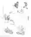 Fig. 04 - Snowmobile