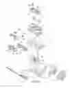 Fig. 08 - Snowmobile