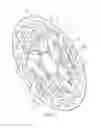 Fig. 07 - Bicycle brake disc