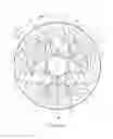 Fig. 08 - Bicycle brake disc