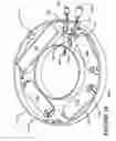 Fig. 16 - Lighting arrangement with battery backup